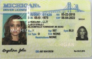 Michigan Driver License - Michigan Scannable IDS